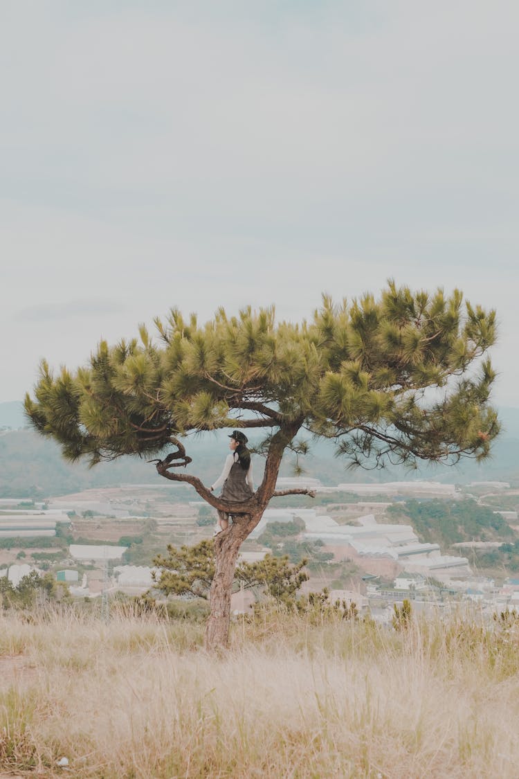 Woman Sitting On Tree In Countryside