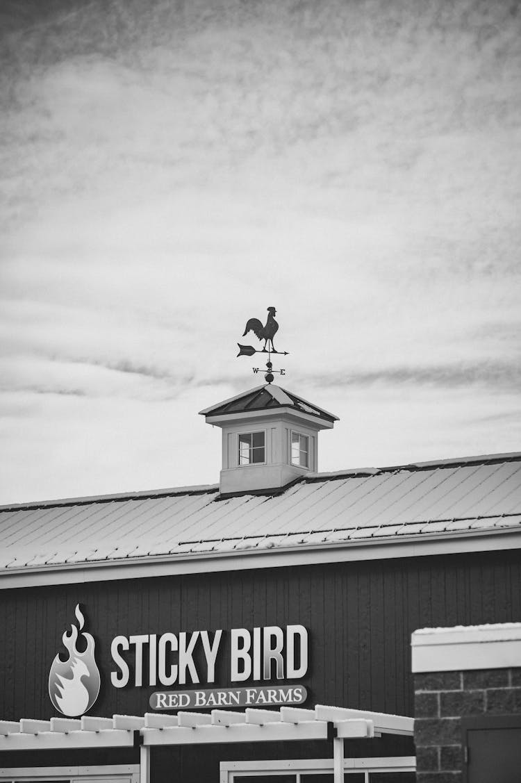 Vane On Building Roof