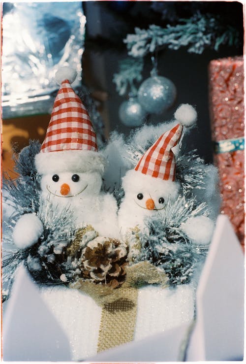 Foto stok gratis bergembira, biji pinus, dekorasi Natal