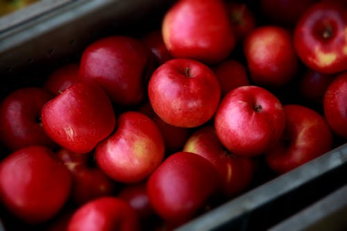 Close-up Photo of Red Apples