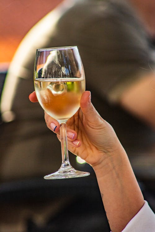 alkollü içecek, alkollü içki, Beyaz şarap içeren Ücretsiz stok fotoğraf