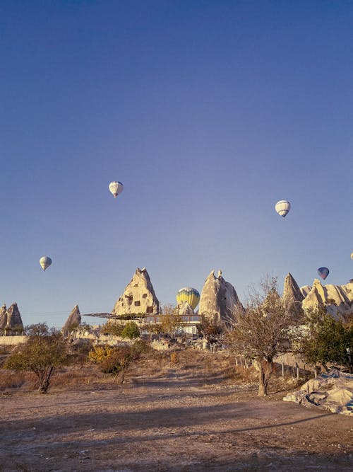 Landscape with Hot Air Balloons in the Sky 