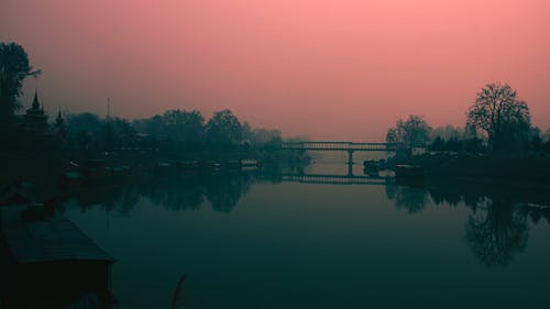 @dış mekan, ağaçlar, arka fon içeren Ücretsiz stok fotoğraf