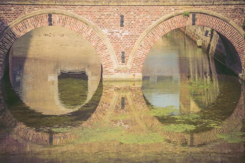 Free stock photo of body of water, bridge, reflection