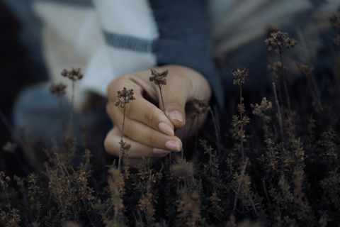 Artwork for How Does Grief Reshape Our Inner Landscape And Help Us Find Meaning Again. Sylvia Wolfer?
