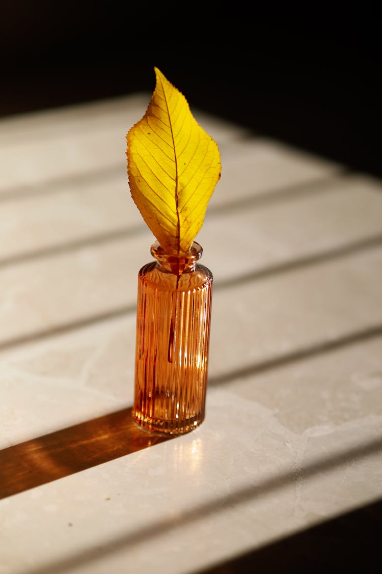 A Leaf In A Bottle