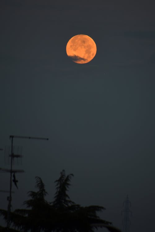 Free stock photo of full moon