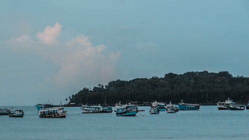 Teal Boats Near Island