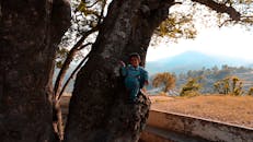 在宁静的乡村风景中，一个小男孩正在爬树