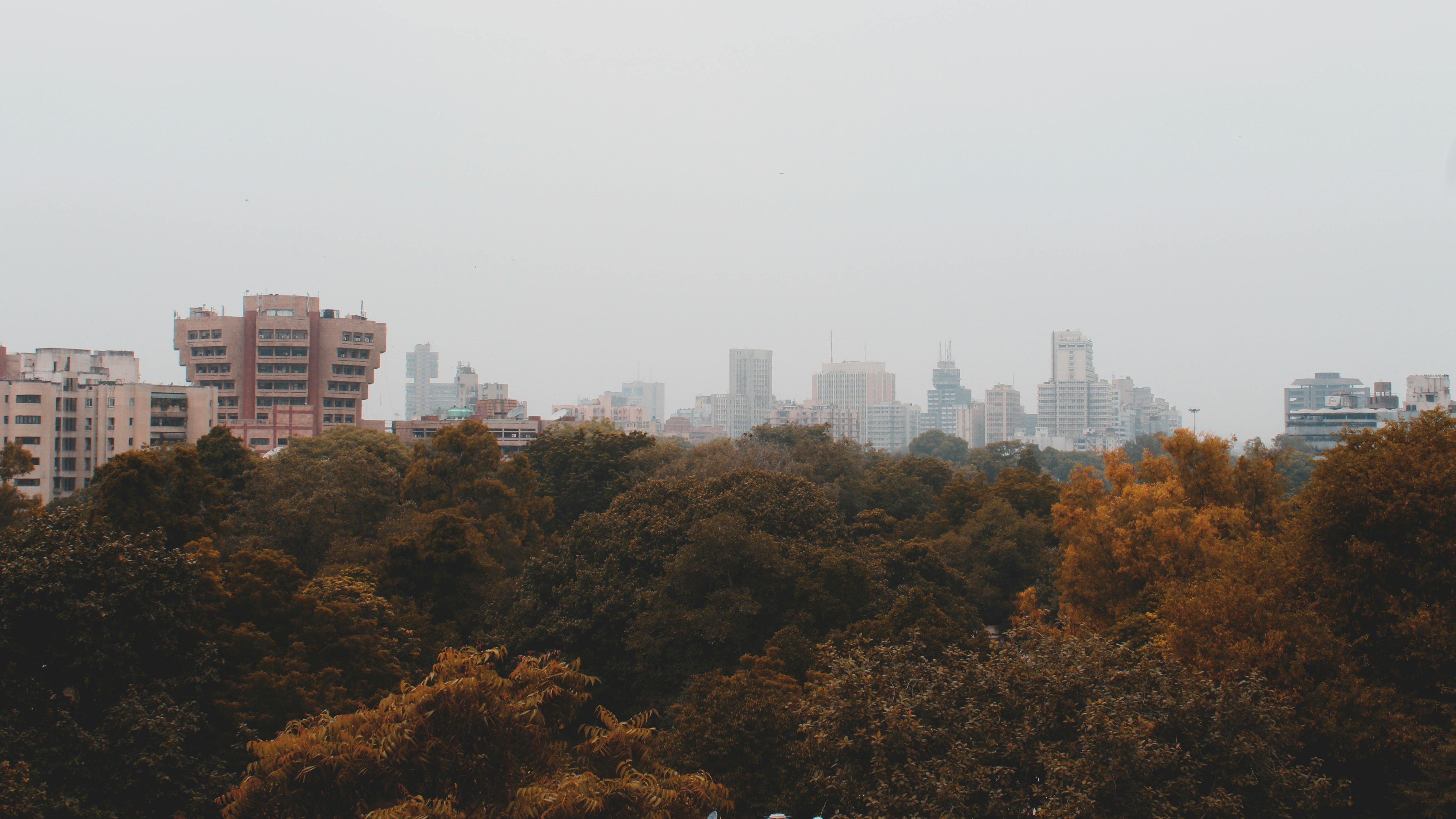 雾蒙蒙的天际线下，秋叶点缀前景，捕捉到宁静的城市景观