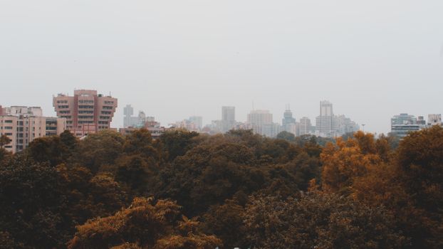 雾蒙蒙的天际线下，秋叶点缀前景，捕捉到宁静的城市景观