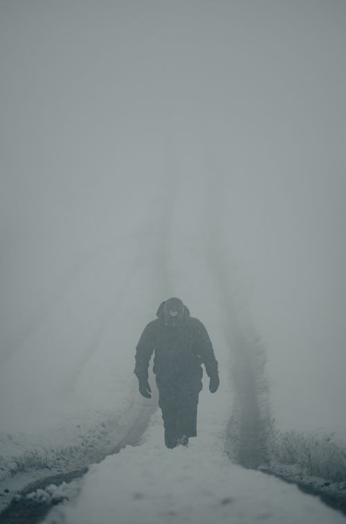 Free A lone person walks through dense winter fog, creating a mysterious atmosphere. Stock Photo