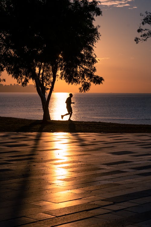 Silhouette of Person Jogging Near Water
