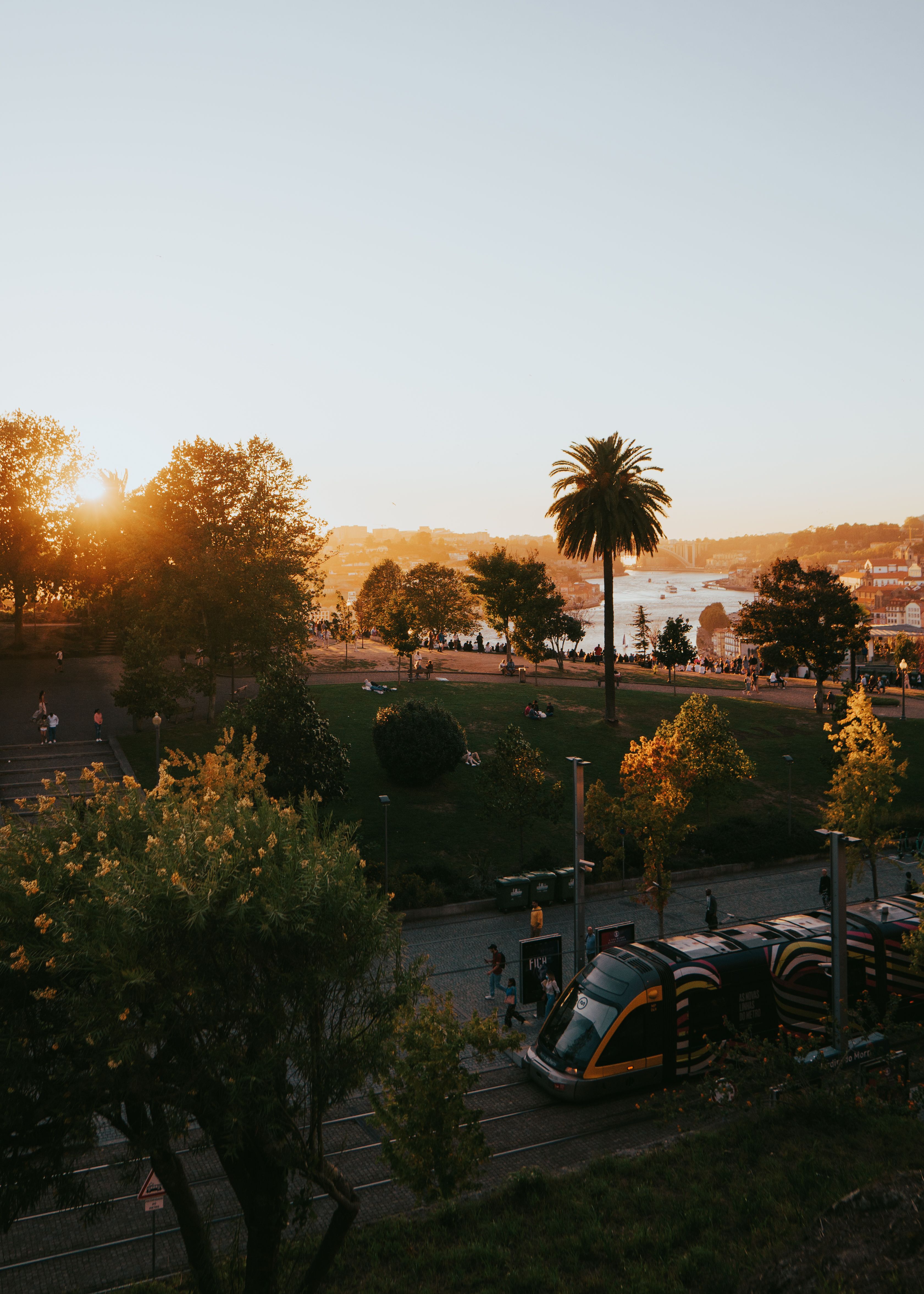 Scenic view of Porto at sunset with a tram and lush greenery, ideal for travel and city landscapes.
