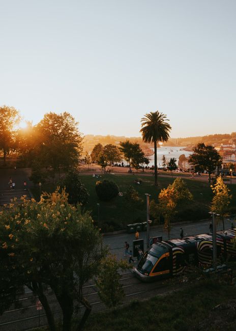 Scenic view of Porto at sunset with a tram and lush greenery, ideal for travel and city landscapes.