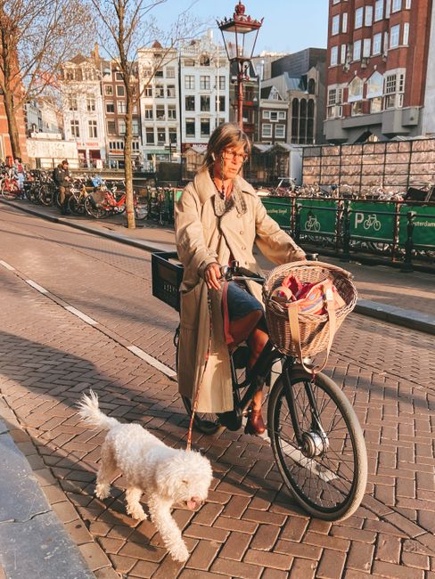 Woman rides bicycle with fluffy white dog in Amsterdam city street.