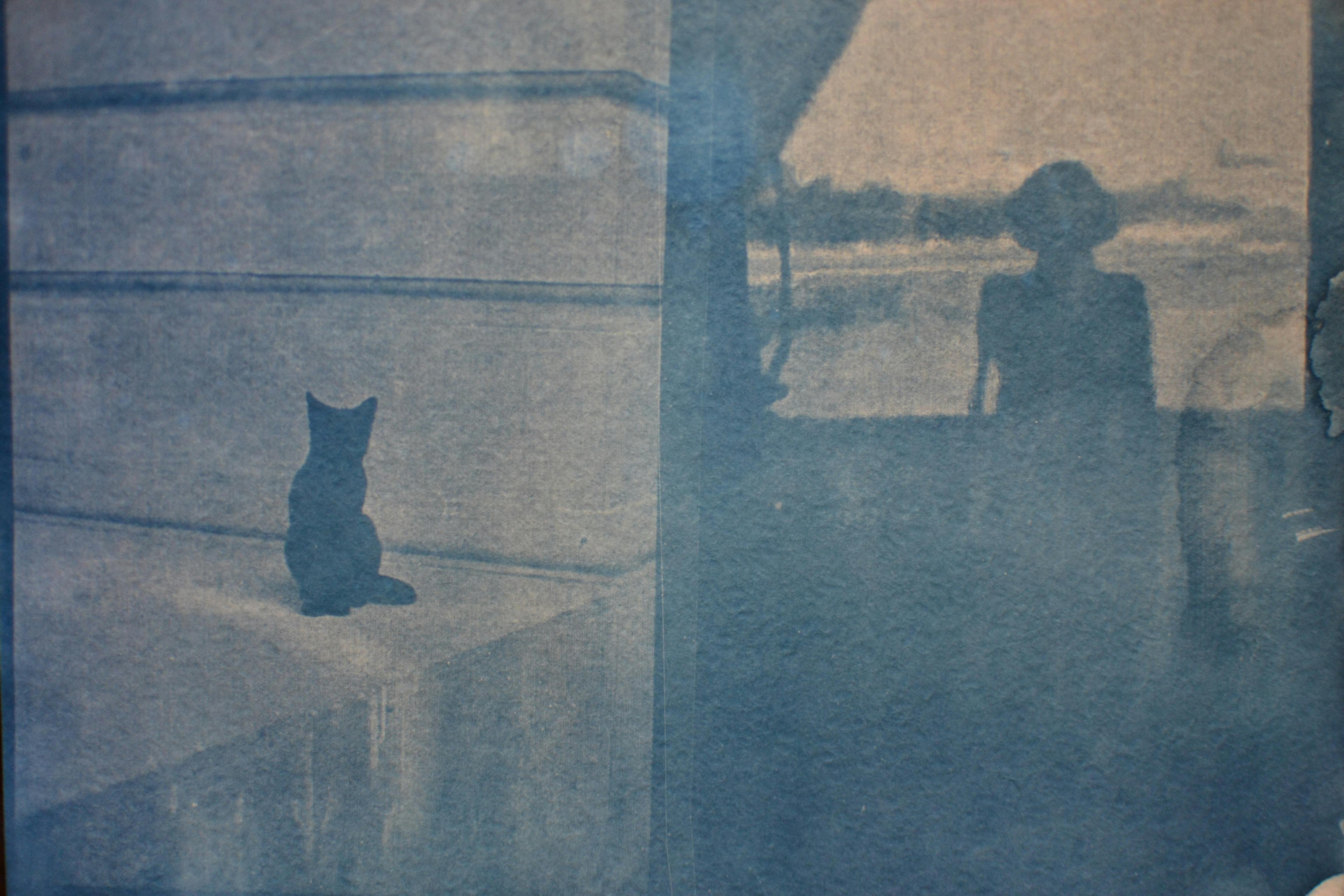 Artistic cyanotype print featuring a silhouette of a person and a cat with a vintage feel.