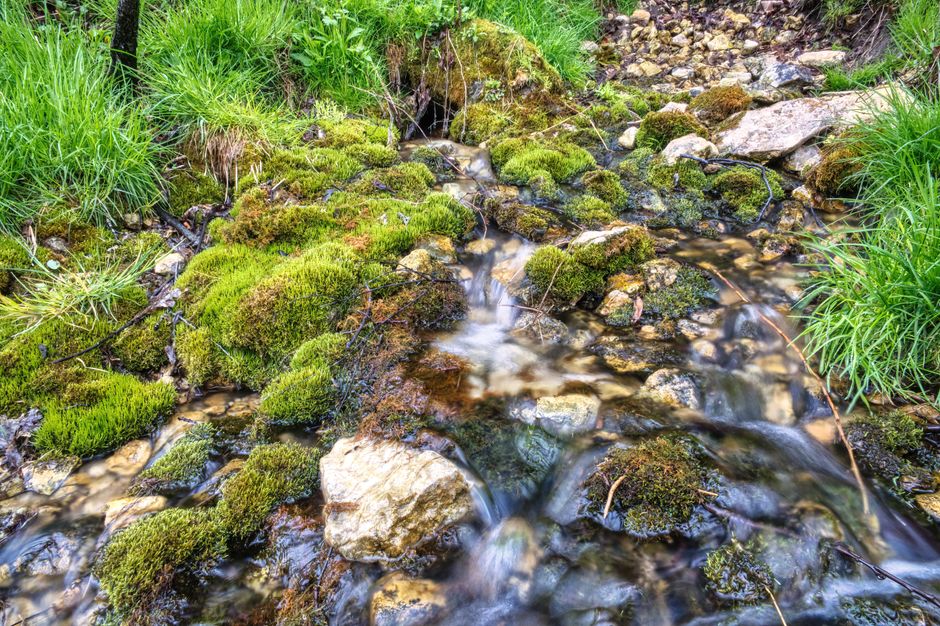 A peaceful stream flows over vibrant green moss and rocks in Beaver, MN.