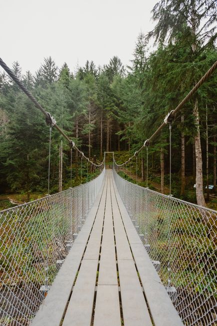 A scenic wooden suspension bridge amidst lush green forest trees.