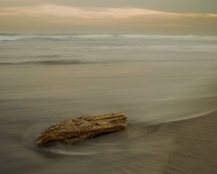 Tranquil scene of driftwood on a beach with gentle waves at sunset. Perfect serene backdrop.