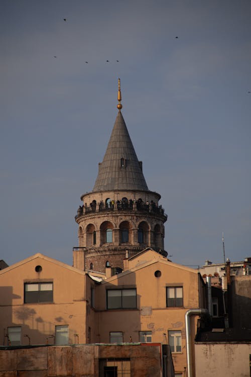 Základová fotografie zdarma na téma budovy, domy, galata věž