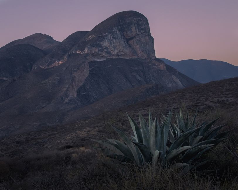 Unbeatable Yaxmuul and the Cenotes of the Mayan Underworld Review: An Unforgettable Journey Into Sacred Mayan Waters Review 2026 - A breathtaking view of rugged mountains and agave plants at twilight.