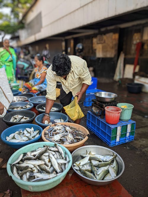 Δωρεάν στοκ φωτογραφιών με goa, Ινδία, ψαραγορά