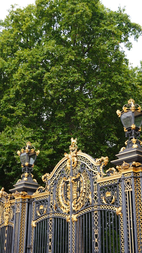 Fotobanka s bezplatnými fotkami na tému brána, buckinghamský palác, forestpark