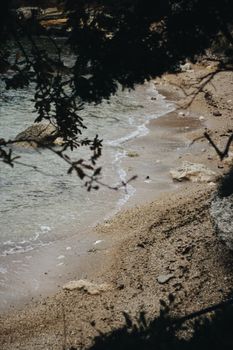 A tranquil beach scene with gentle waves, sandy shore, and framing branches, captured from above.