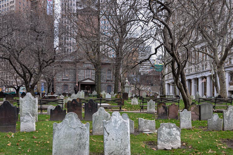 Leafless Trees In On Cemetery