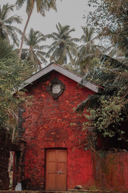 Free Charming red brick building in a tropical setting with lush palm trees. Stock Photo