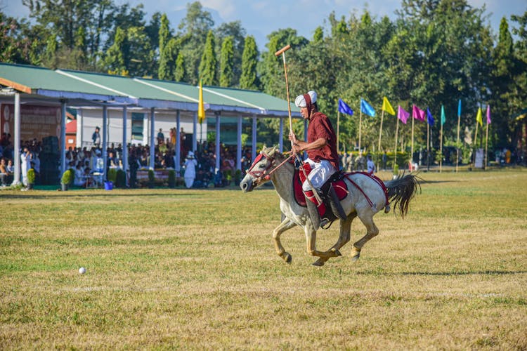 A Man Riding A Horse Holding A Mallet While Playing Polo