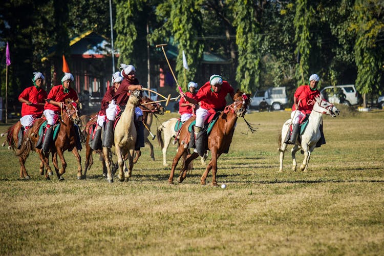 People Playing Polo On  Green Grass Field