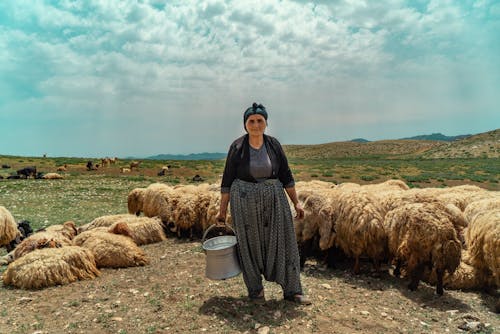 A Shepherdess Standing near the Flock of Sheep