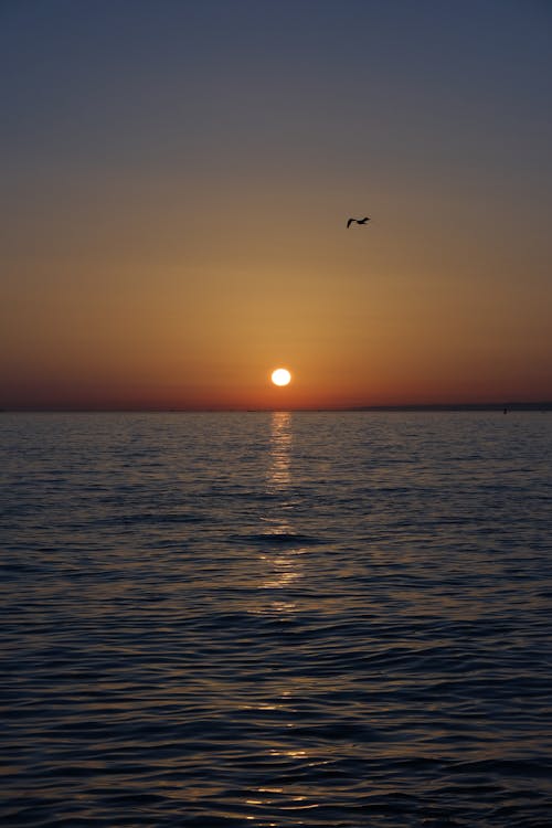 Základová fotografie zdarma na téma horizont, malebný, moře