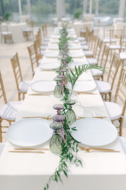 Fotos de stock gratuitas de mesa, plantas, platos