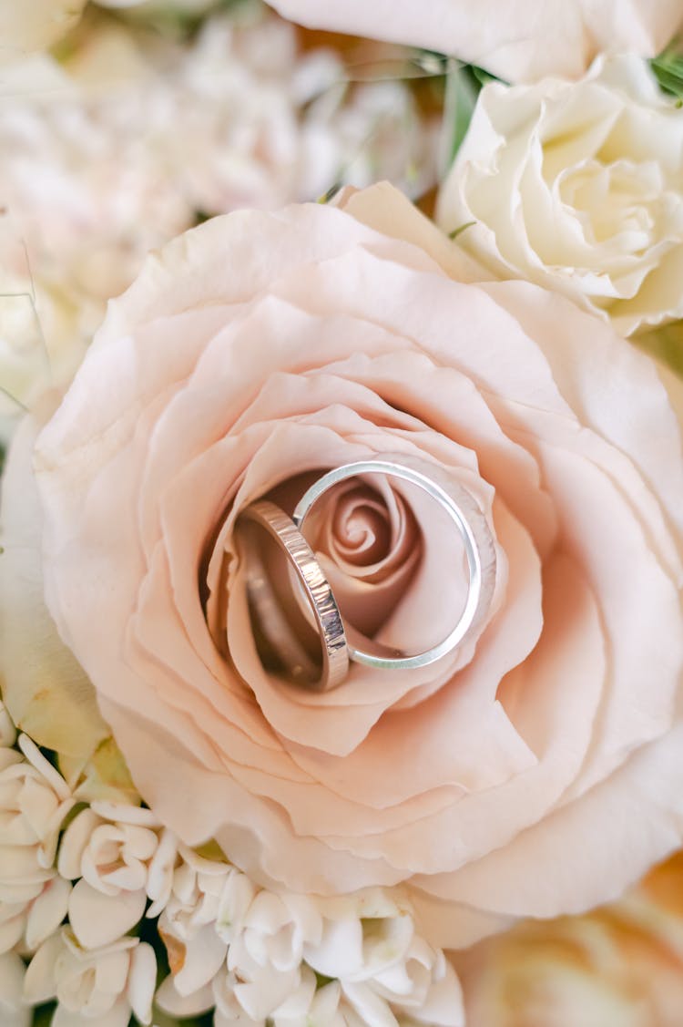 Close-up Of Wedding Rings On The Rose