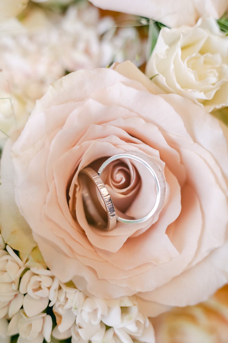 Wedding rings elegantly placed atop a blush rose, surrounded by delicate floral arrangement