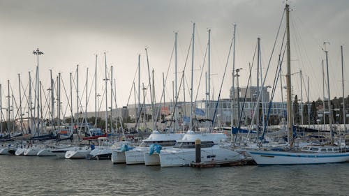 Sailboats Docked at the Marina