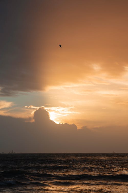 Immagine gratuita di alba, cielo arancione, corpo d'acqua