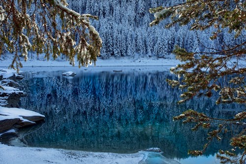 강, 겨울, 겨울 풍경의 무료 스톡 사진