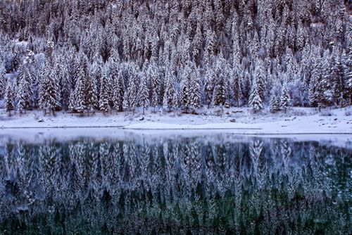 Free Stunning snow-draped conifer forest reflecting in a tranquil winter lake. Stock Photo