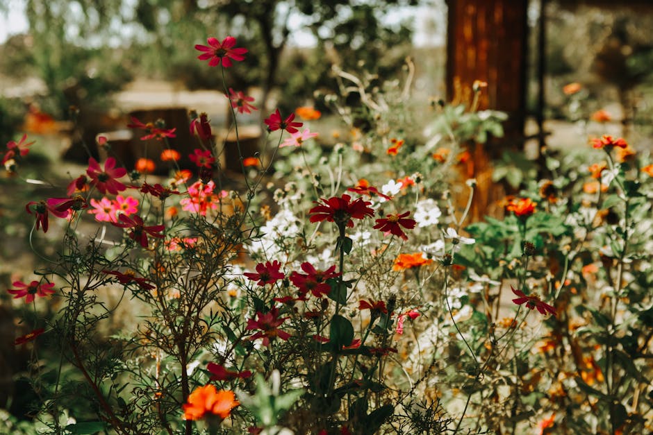 Shallow Focus Photography of Flowers