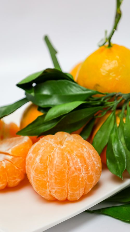 Free Fresh tangerines with lush green leaves on a pristine white plate, highlighting their natural vibrancy and texture. Stock Photo