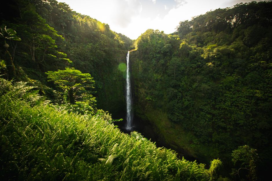 Lush greenery surrounds the stunning Akaka Falls in Hawaii, capturing the beauty of nature.