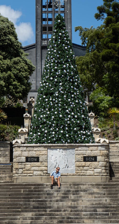 Fotos de stock gratuitas de adornos, árbol de Navidad, árbol de navidad de la ciudad