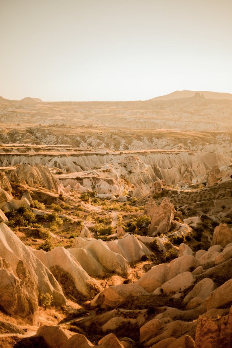 Rocky Canyon Landscape