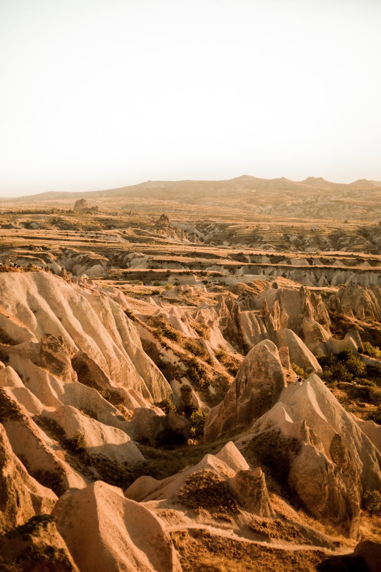 Rocky Canyon Landscape