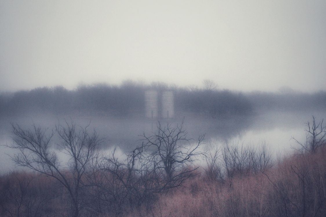 Free Foggy Lake Stock Photo