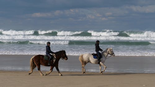 Photo of Two People Riding a Horse on a Beach